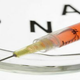 Generic image (Thinkstock)